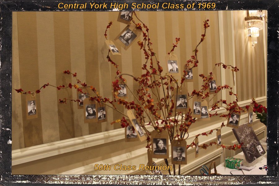 Memory tree planted by the class of 1969